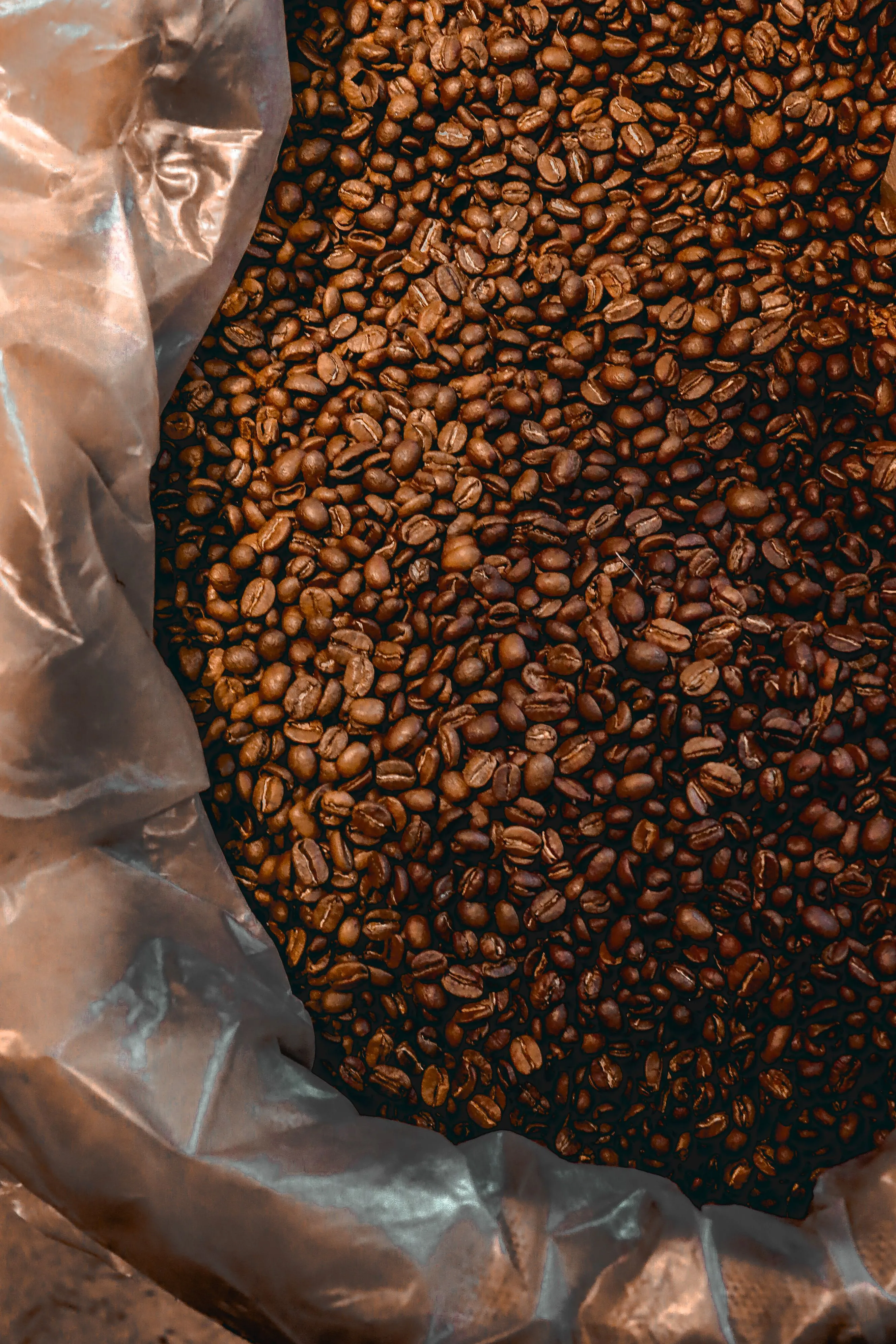 Procesamiento del café